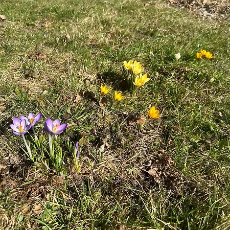 Urlauben In Traumhafter Lage * Bramberg am Wildkogel